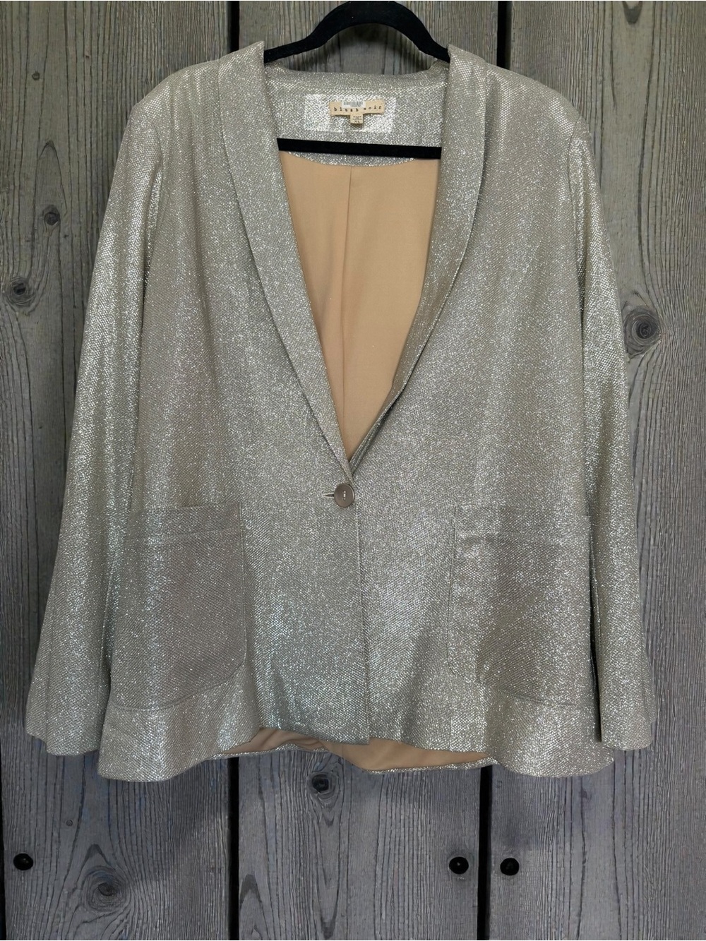 Sparkle Silver Single-Button Blazer by Weekend Blush Noir